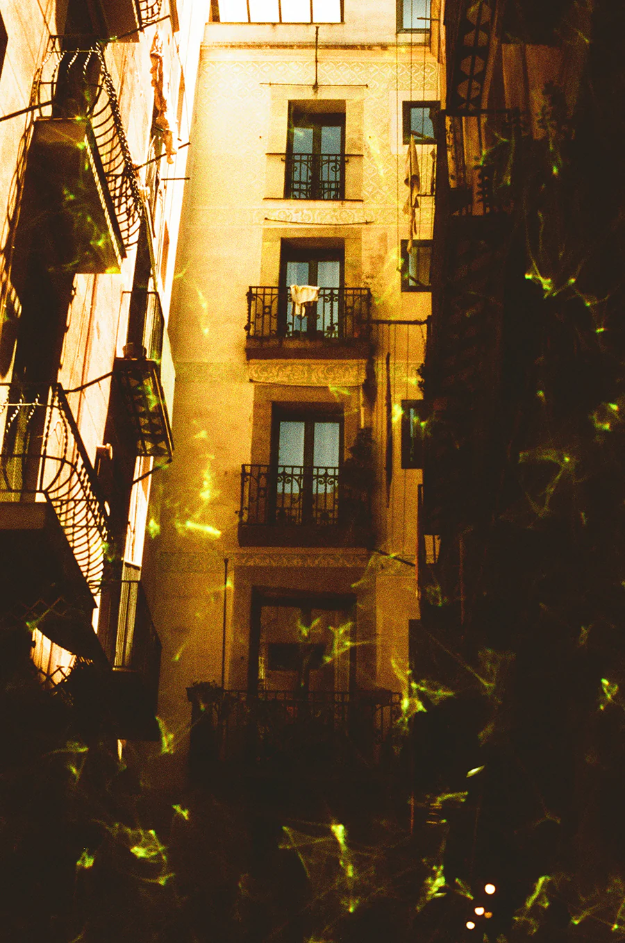 Imagen del producto 5